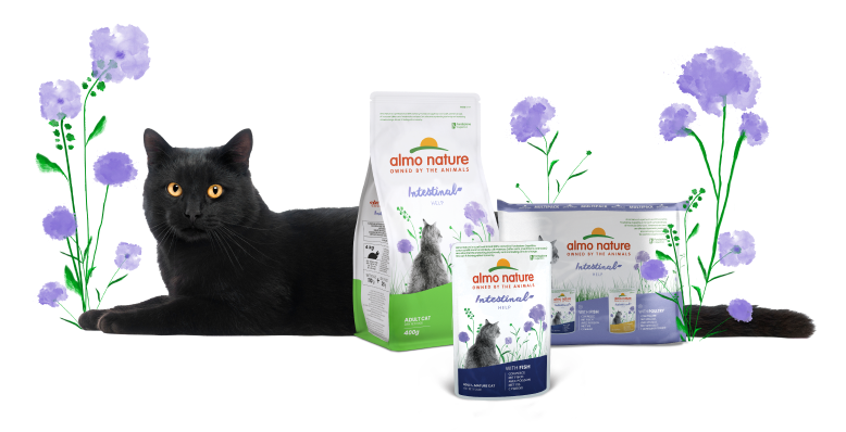 Almo Nature Kat Holistic